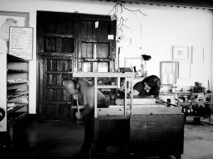 Castrolara en estudio